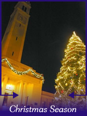 French Creole Christmas Candle Light Tour and Bonfire